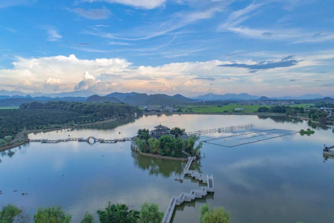 维c含量远高于梨和苹果!水果自由的广西,"橙"熟了_富川_脐橙_福溪村