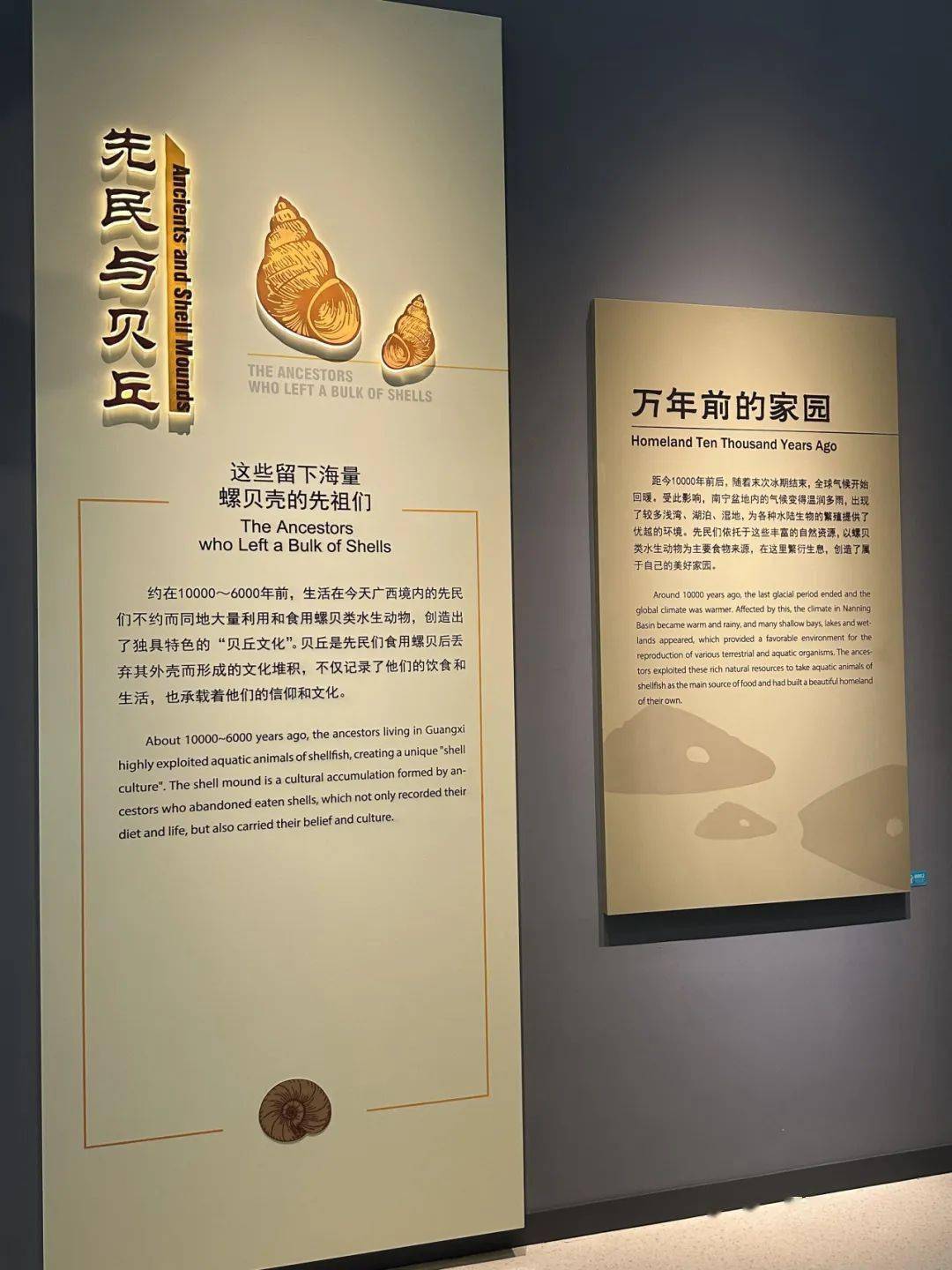 南宁这两位新晋"顶流"背后还有这些故事→_文化_贝丘_遗址