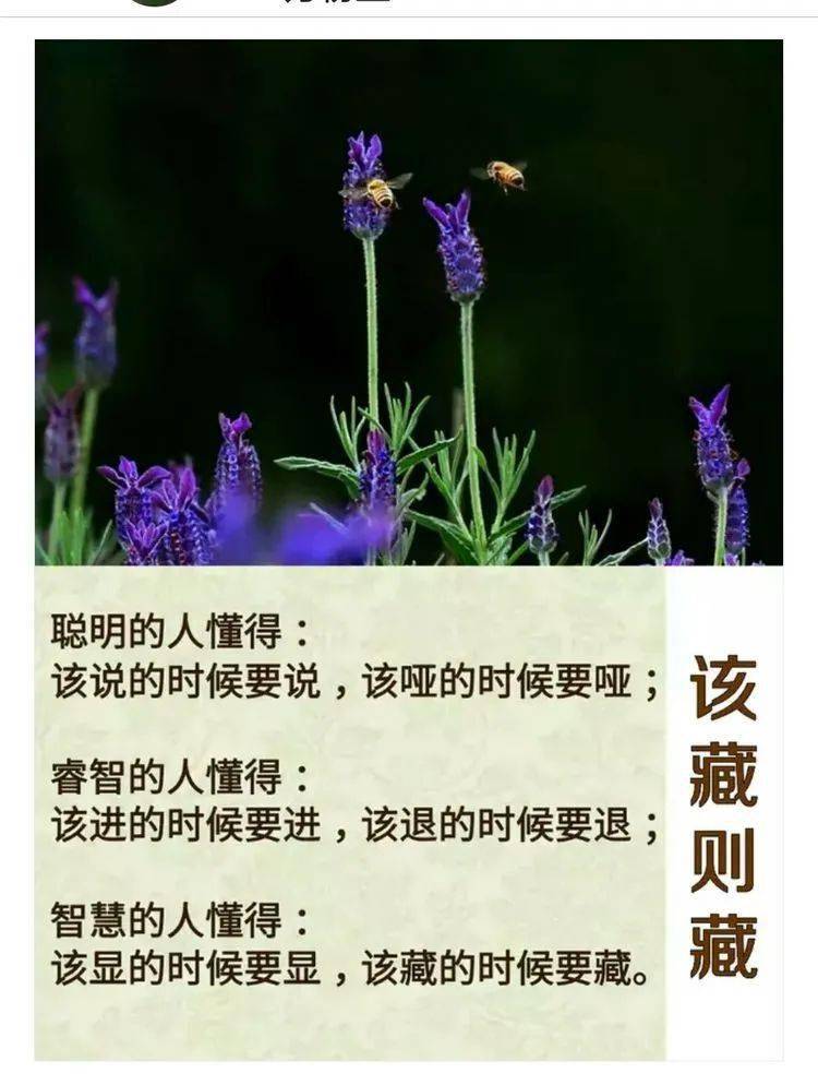 人生有度,貴在適度_命運_心態_好處