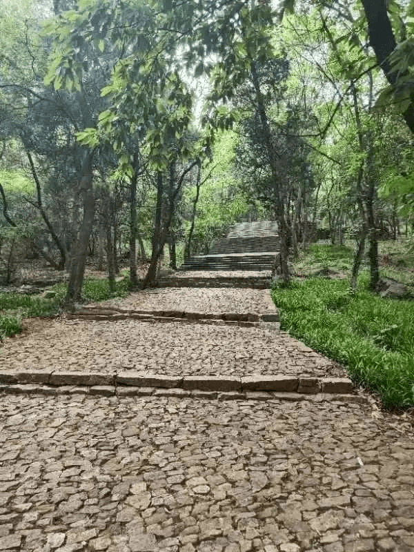 大别山国家森林步道图片