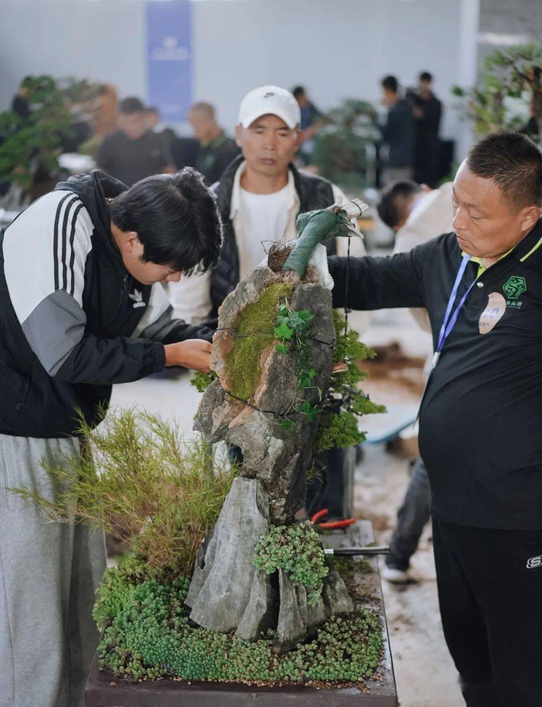 回顾"非遗杯"个性化创意大赛精彩瞬间——唐胜锋,李小军_盆景_作品