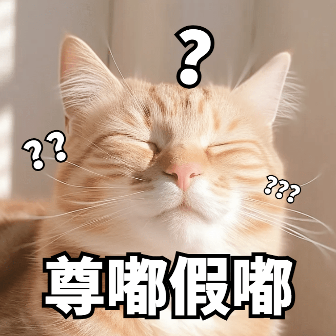 猫咪表情包文案图片