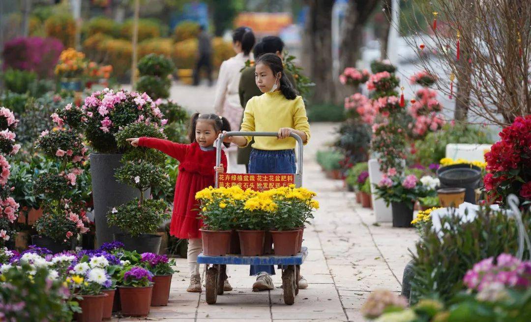 逛花街!2024年厚街花市最新剧透