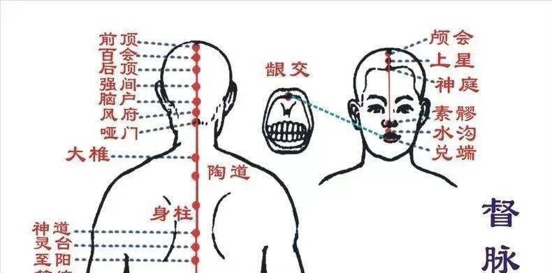 针回阳九针穴