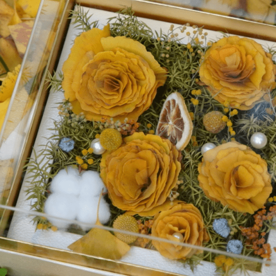 秋意和_礼物_叶子