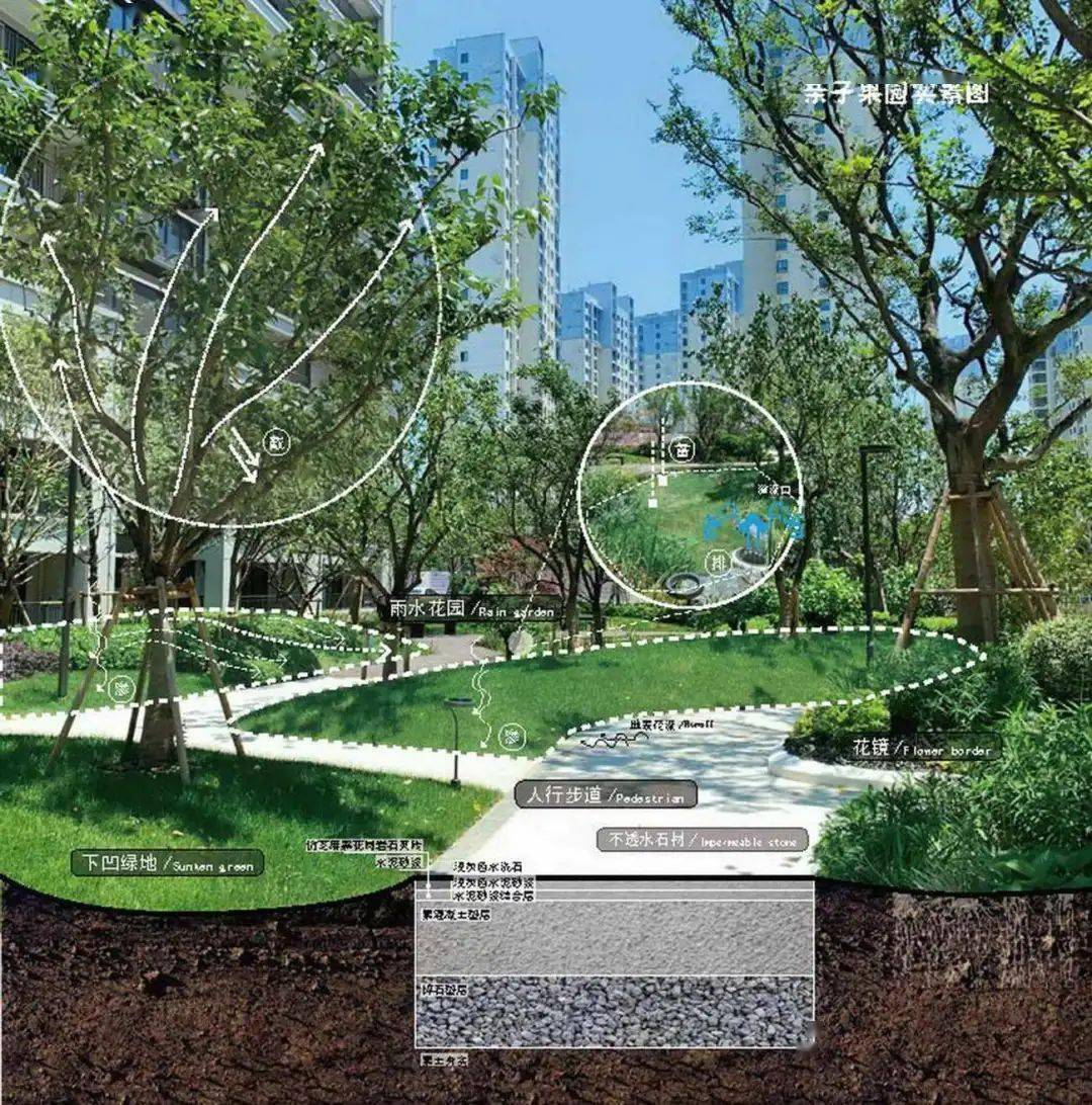 奥雅做的雨水花园,上了热搜!