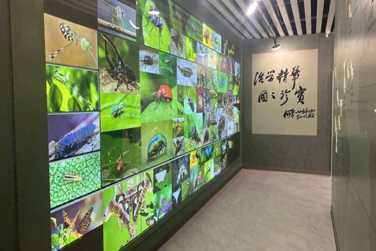 天津昆虫博物馆图片