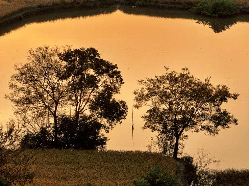 【文明村镇巡礼】芜湖市湾沚区桃园村:村规民约新标尺 移风易俗进