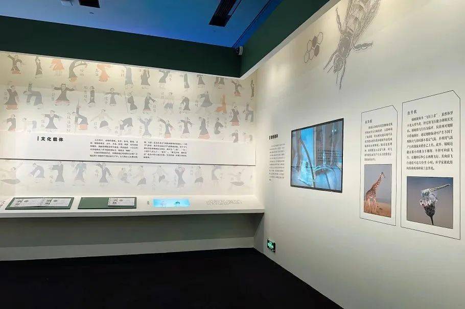 展览|中国国家博物馆与国家自然博物馆联合举办"共同家园——大自然的