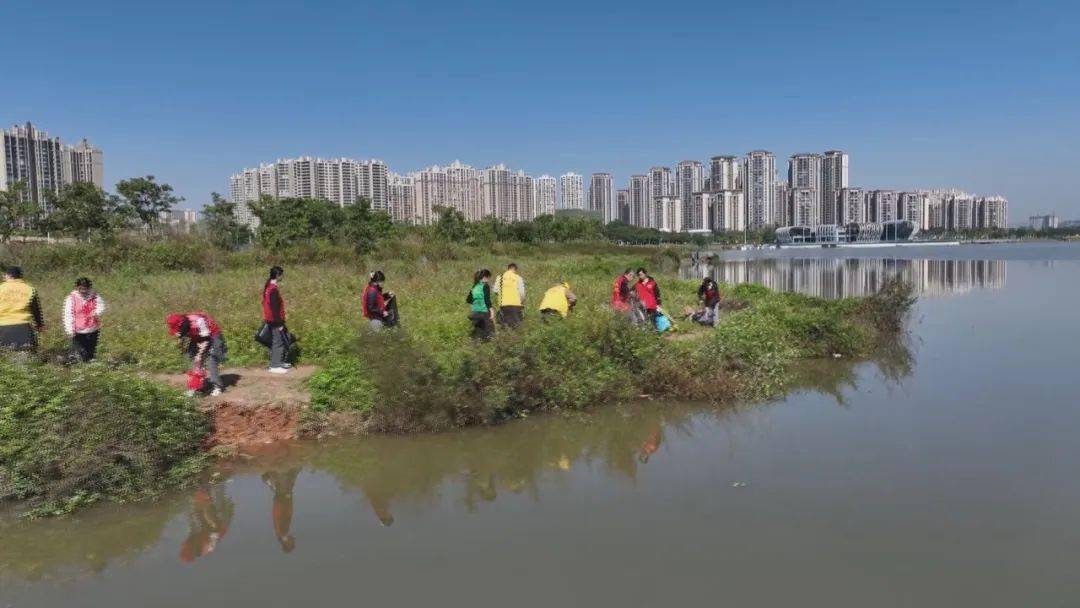 志愿服务团队,企业志愿服务团队超50人共同参加此次行动,对西江沿岸