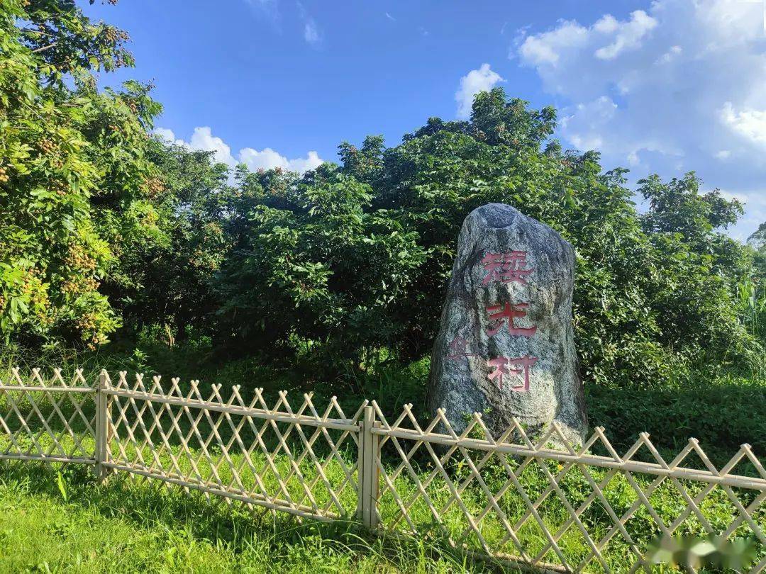 惠阳区良井镇矮光村入选全国乡村治理示范村