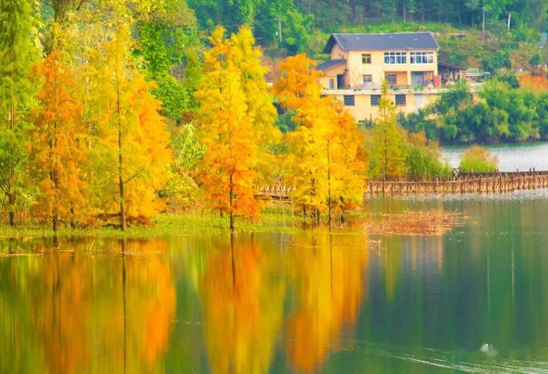 盛视丨 冬日,来万盛邂逅别样风景~_重庆市_越野_曹永