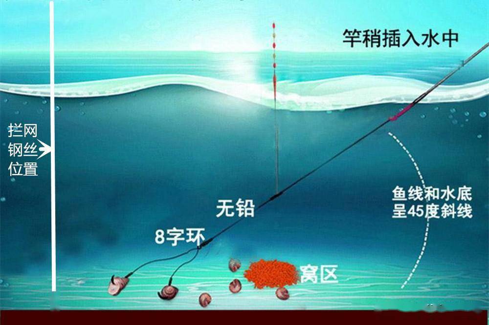 初冬黑坑钓青鱼