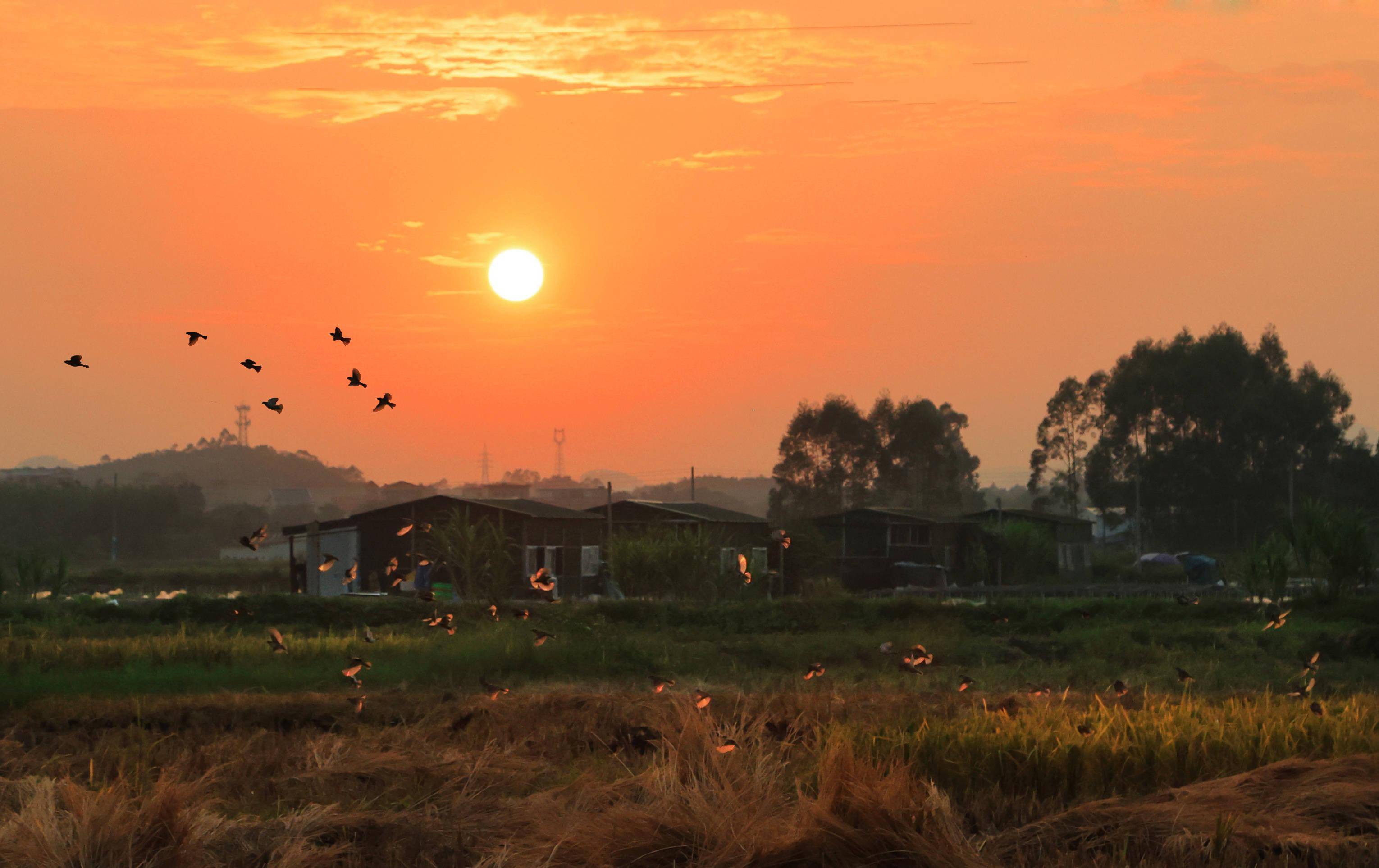 图集|秋日肇庆,风景美如画