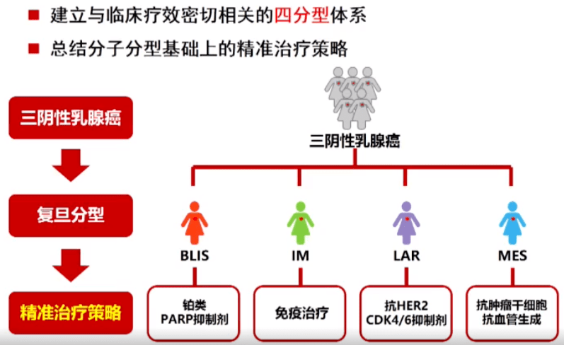江一舟教授:细化三阴性乳腺癌治疗策略,「 复旦分型 」 势在必行!_临床_患者_肿瘤