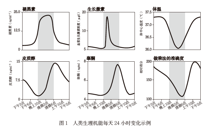 人类大脑发育曲线图图片