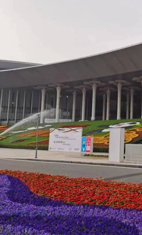 品饮中国茶,非遗进万家_文化_系列_长三角