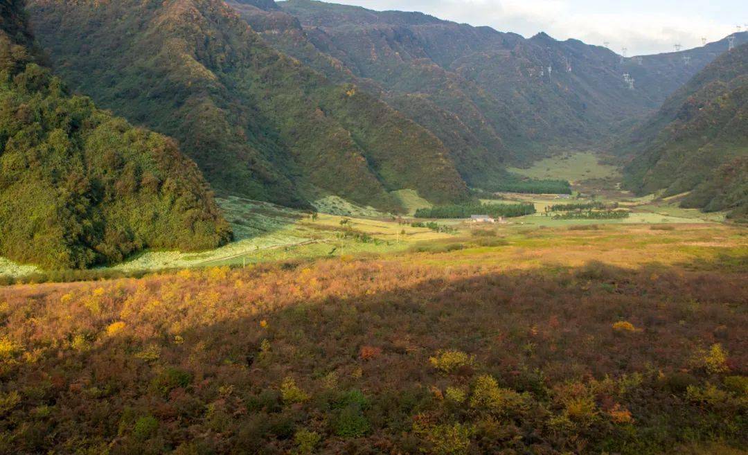 地址:金口河区永胜乡,导航【大瓦山国家湿地公园】即可门票:免费枫叶