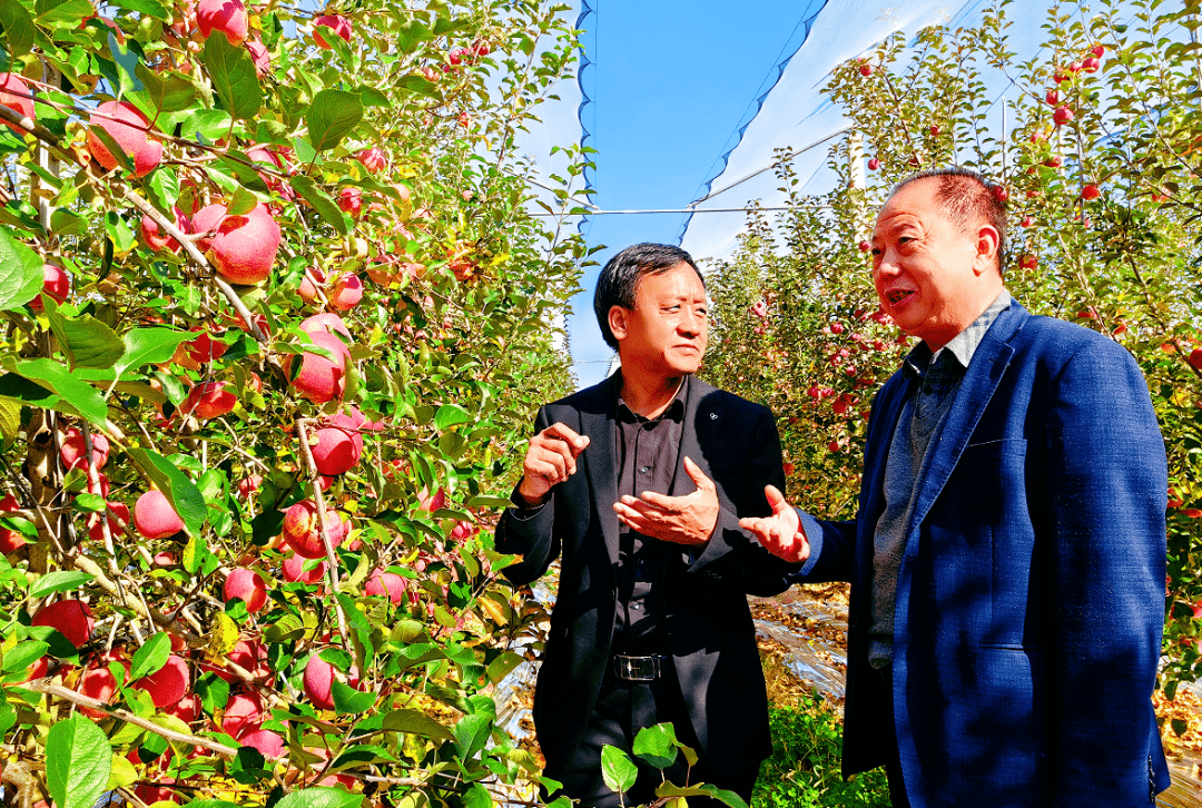 陕西老乡致富记:李海民和他的宝贝疙瘩"福布瑞斯"_搜狐汽车_搜狐网