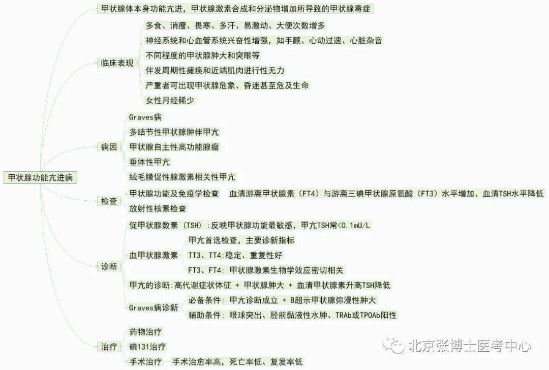 内分泌系统知识框架图图片