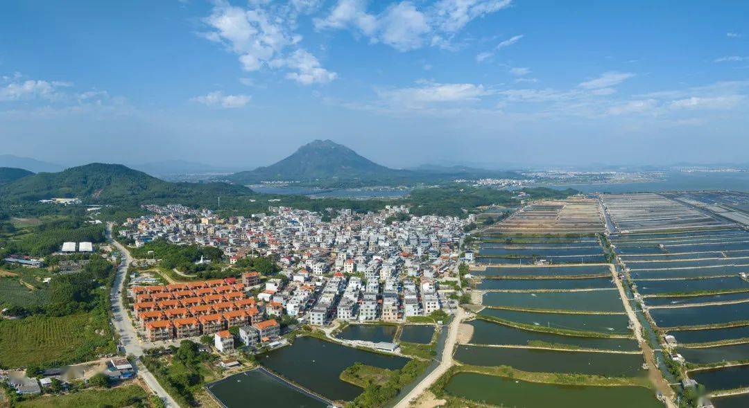 就是这个村→_梧村_治理_村民