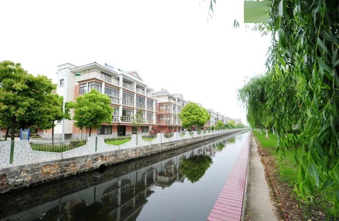 张家港这个村,全国示范!_长江村_村民_文明