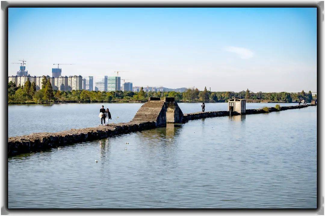 【图说·绍兴】初冬的避塘