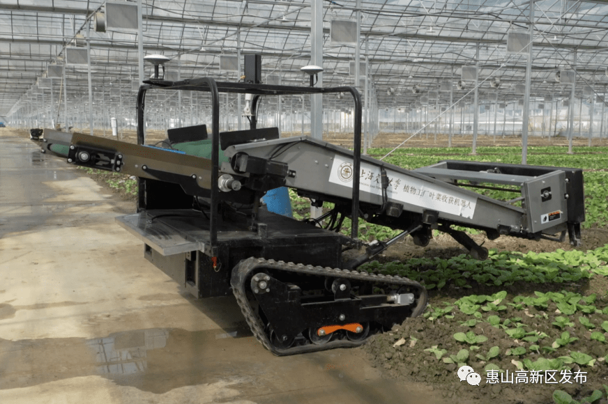 发展的基石独特的交通优势络绎不绝运河之上舟来楫往横贯四方s340省道