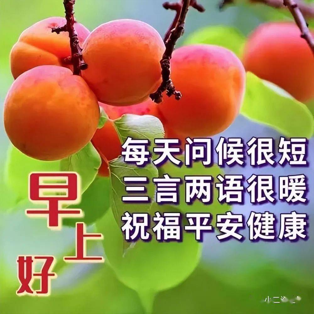 最新版最漂亮的早上好短语句子,早上好吉祥图