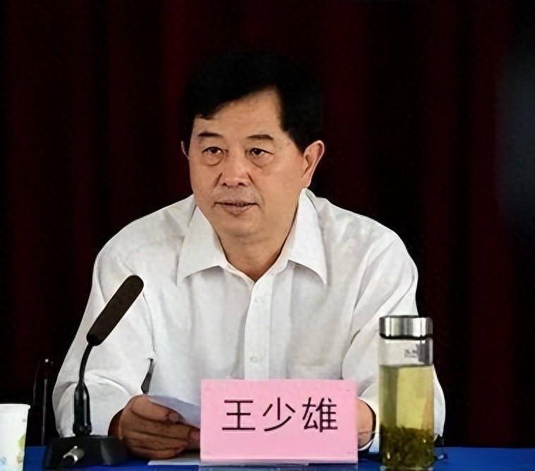 近70岁"内鬼"王少雄,被查_湖北省纪委_监察_违法