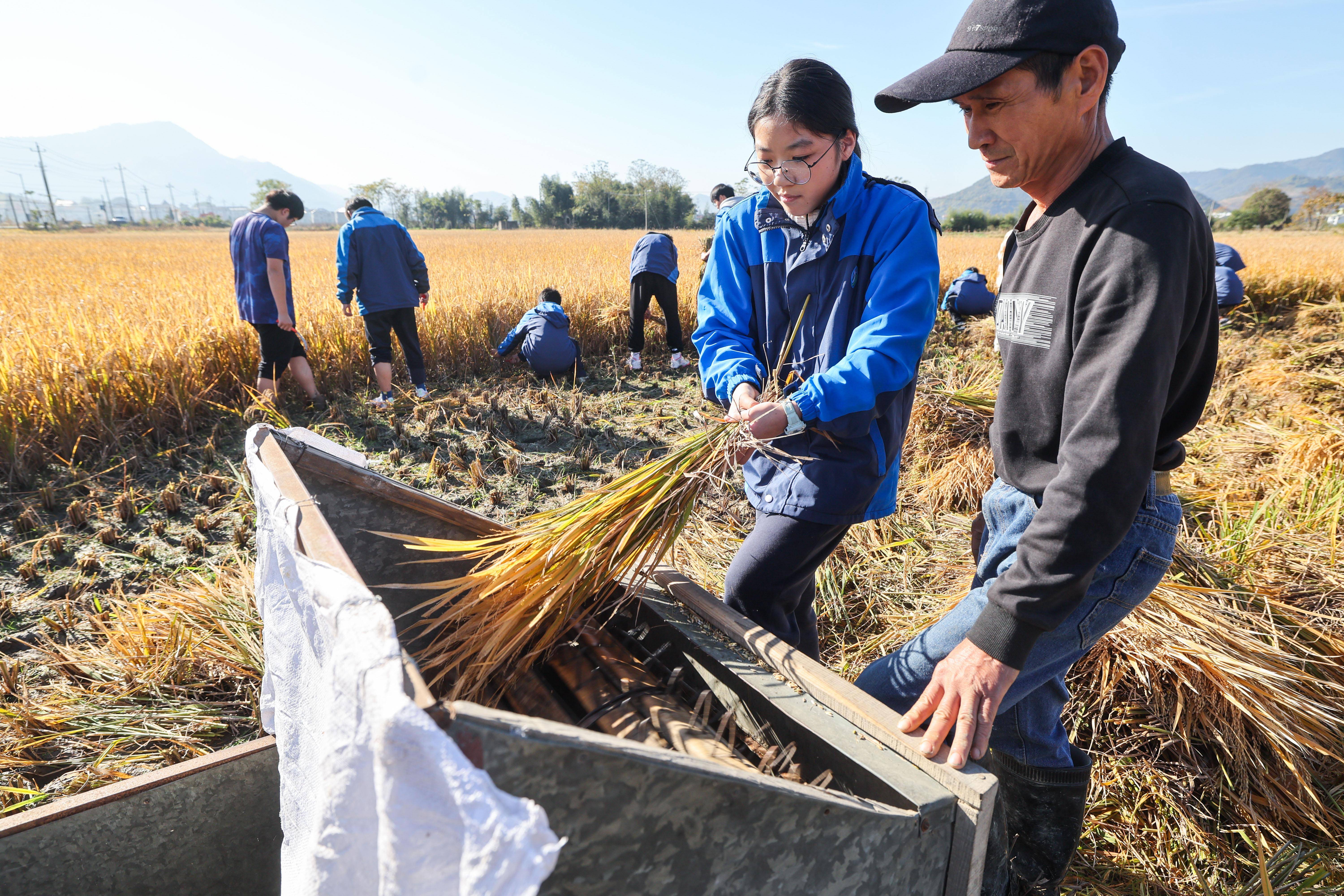 浙中国际机场11个村图片