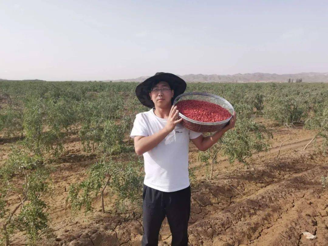 其中,金玉龙获得第二届"全国乡村振兴青年先锋"标兵荣誉,苏德花,江力