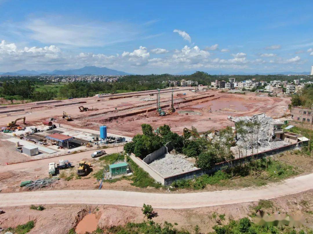 阳江市商务局原副主任科员吴红坚(高州籍)严重违法被取消退休待遇什么