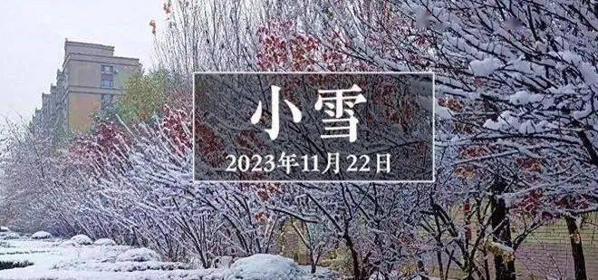 天津电视台小雪图片