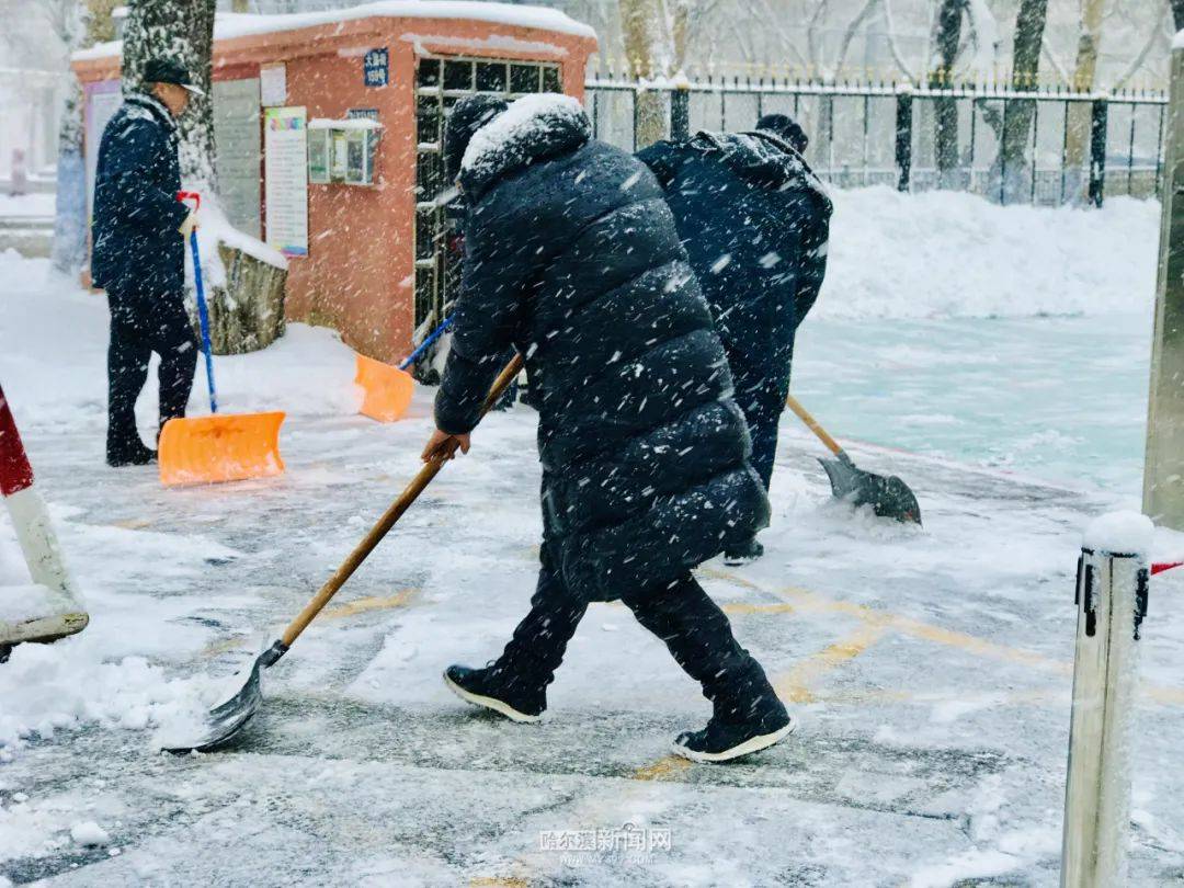 商户响应"自扫门前雪"的号召来源:哈尔滨新闻网崔彦 记者:黄晏君"哈报