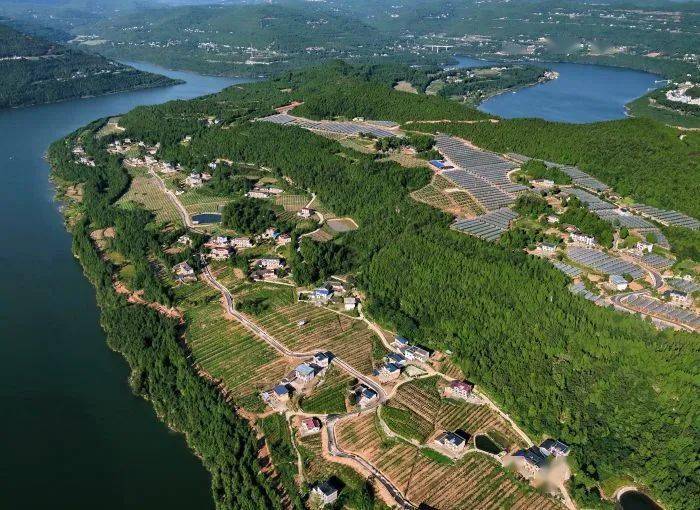 "红绿蓝"三原色绘就苍溪发展锦绣图_猕猴桃_红色_全国