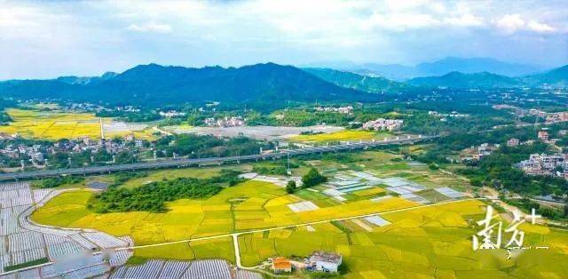 此外,日前在茂名舉行的全省推進