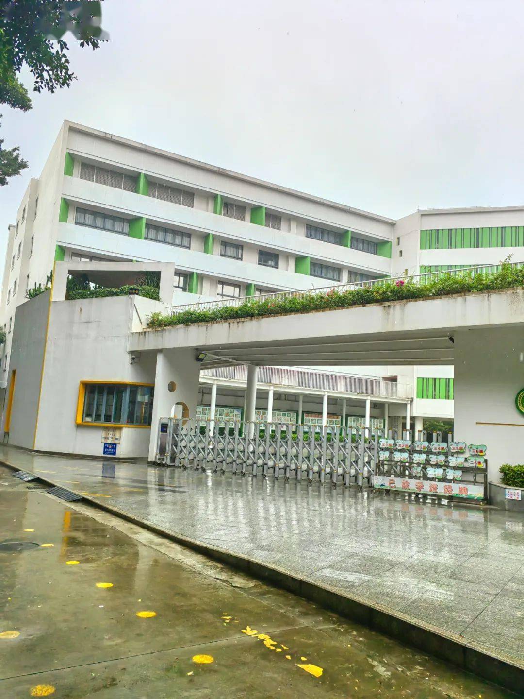 荔湾,再无村小,全员名校_康有为_芳村_大哥