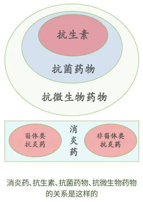 合成抗菌藥物,抗厭氧菌藥物(如甲硝唑,奧硝唑),抗結核藥物(如異煙肼