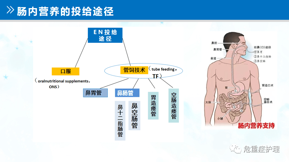 【ppt】肠内营养路径的评估与维护_护理_直播_微信