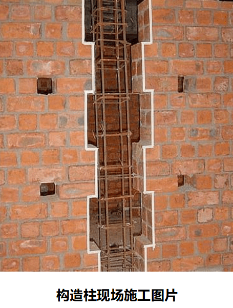 455_601竖版 竖屏