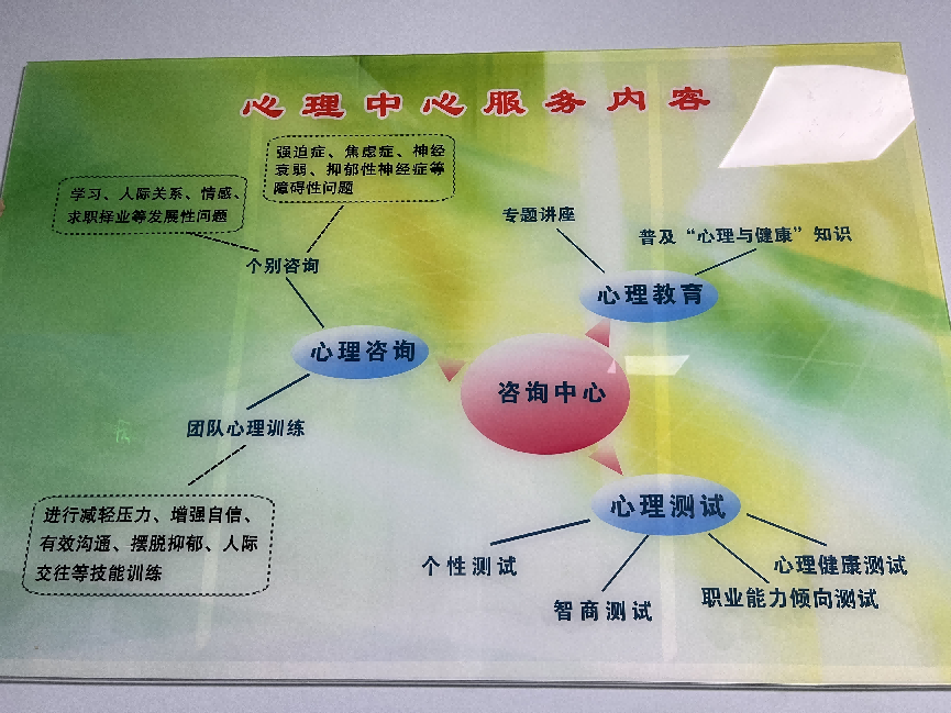 心理健康的守护者：泉州的心理医生角色与现状
