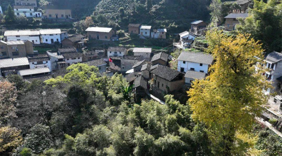 【黄山市域边界行】走进休宁县白际乡项山村_传统_乡村_严池