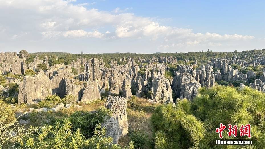 云南石林风景区:沉浸式体验民族风情 游客热情互动跳起大三弦_朱延静