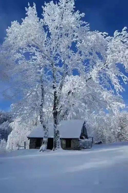 雪景真美图片