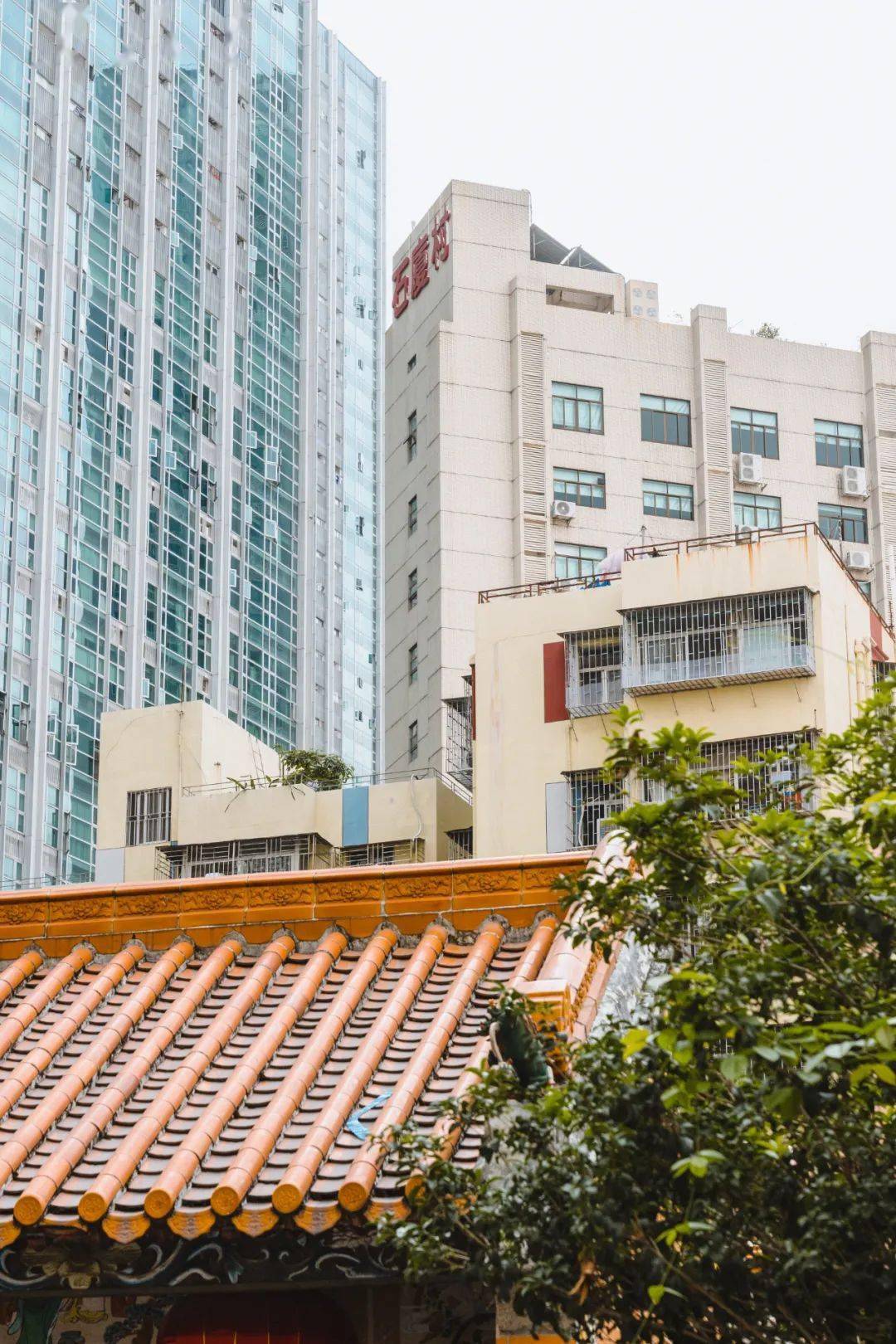 "石厦村在哪里?""深圳中心的中心!"_榕树_湖南_村里