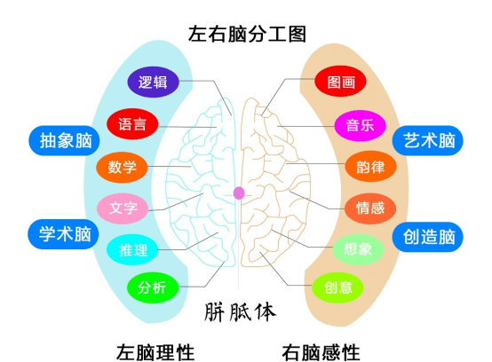 【阅读公号联盟】年底了,用"全脑思维"做一场工作汇报_客户_领导_逻辑