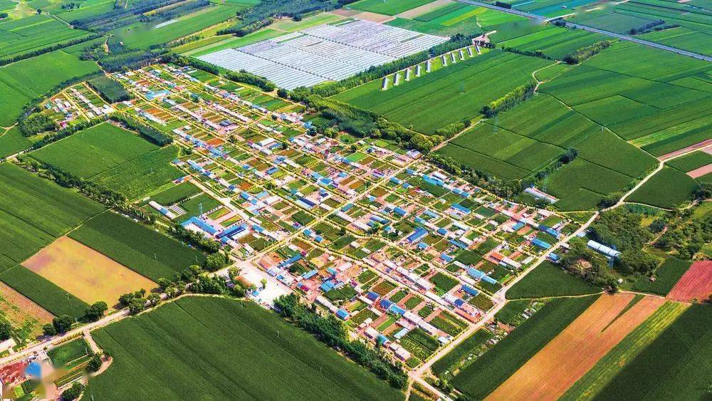 我市庭院经济规模稳居全省首位_发展_种植_技术