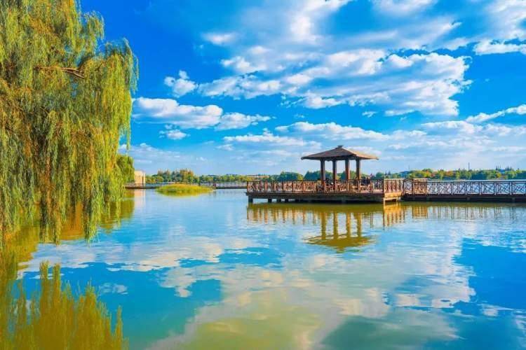 青浦大淀湖:赏宁静之美,品水乡风韵_江南_朱家角_度假