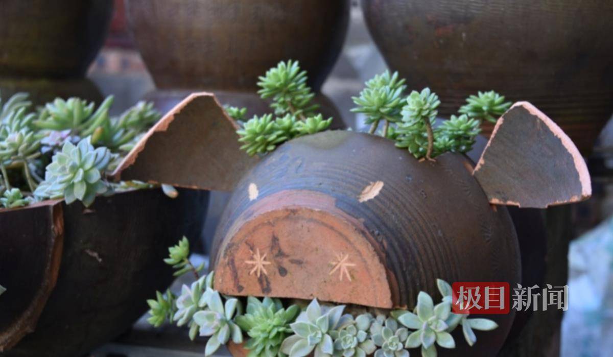 "陶家沟村党支部书记张明坤说,该村将加大宣传力度,倡导村民不随意向